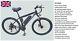 Vélo De Montagne électrique Ebike 26 Fiable 250w 10ah Avec Assistance à La Manette Et Aux Pédales